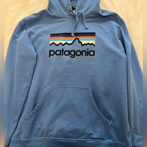 PATAGONIA MENS HOODIE LARGE